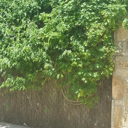 Jardin 度假居 赫雷斯